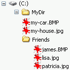 File Structure